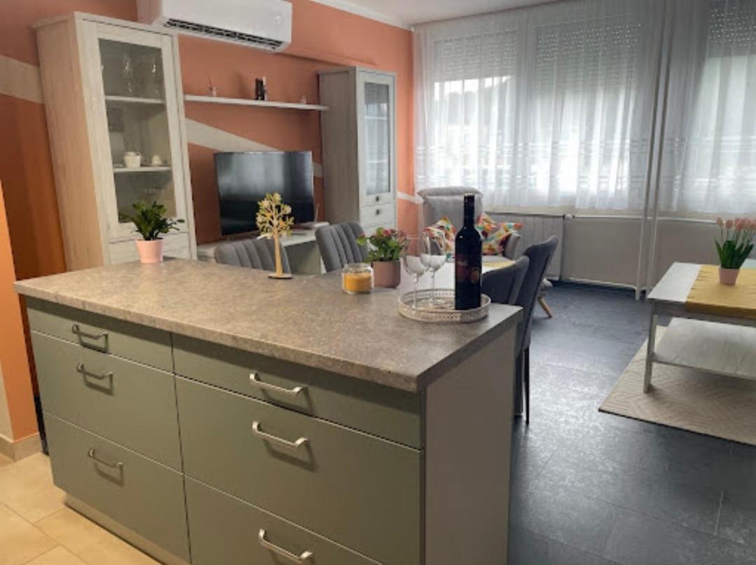 Appartamento Krisztina Apartman Salgótarján Esterno foto